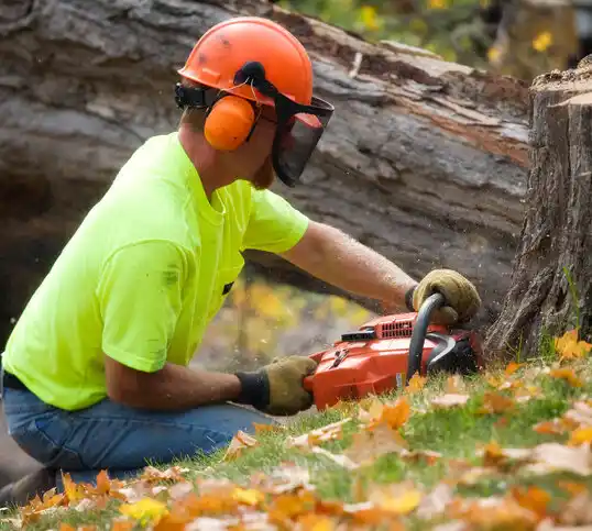 tree services Newberry